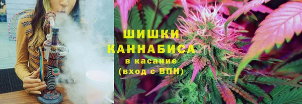 МДМА Заводоуковск
